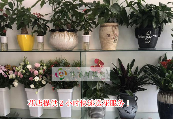 广州萝岗区花店提供广州萝岗区2小时快速送花服务