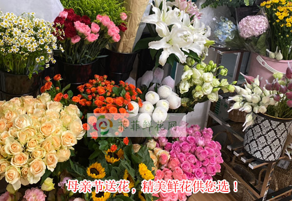 2024广州萝岗区母亲节送花,广州萝岗区精美鲜花供您选!
